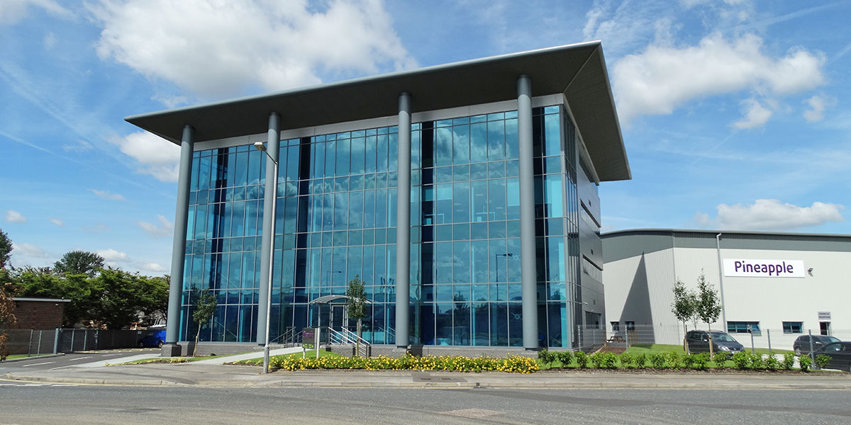 Pineapple Building project